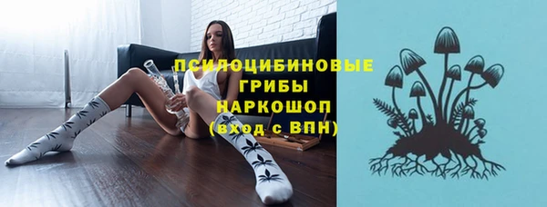 амф Алексеевка