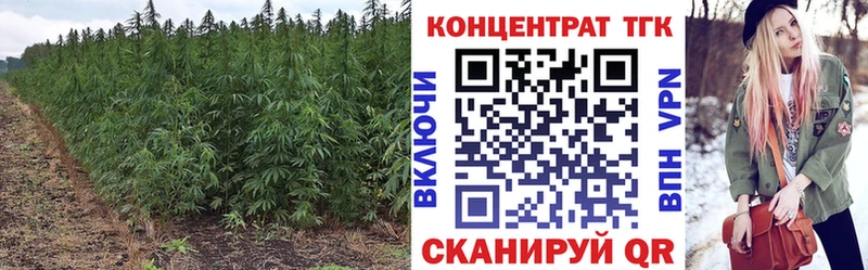 ТГК Wax  продажа наркотиков  Зарайск 