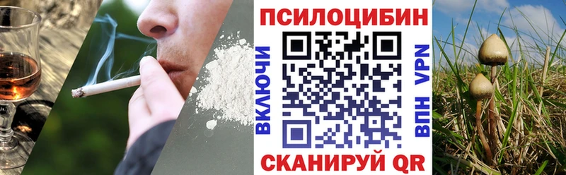 Псилоцибиновые грибы мицелий Зарайск